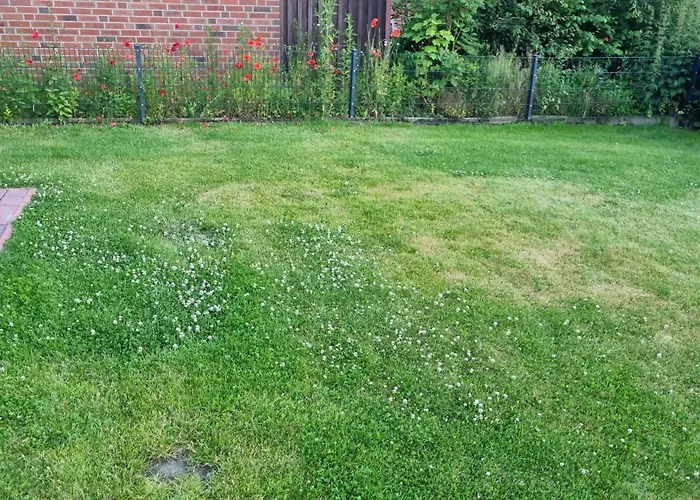 بيت للعطل Hunsche كاروليننسيل